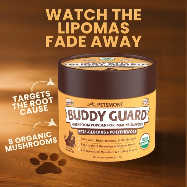 This static square creative uses a bold, promise-based headline paired with a direct product visual to highlight immune support for pets.