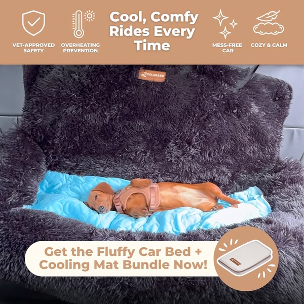 This static creative showcases a dog resting comfortably on a fluffy car bed, utilizing clear benefit icons to highlight safety and temperature control.