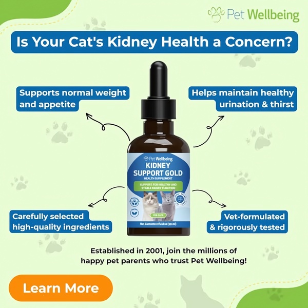 A 1:1 educational ad for a pet health supplement featuring a product-centric layout with benefit callouts and a clear diagnostic hook.