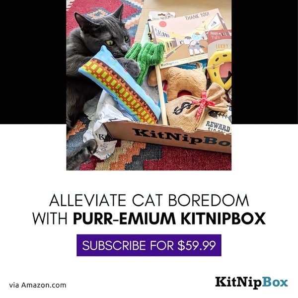 A high-converting 1:1 image ad featuring a cat interacting with a subscription box of toys, clearly displaying the value proposition and subscription price.