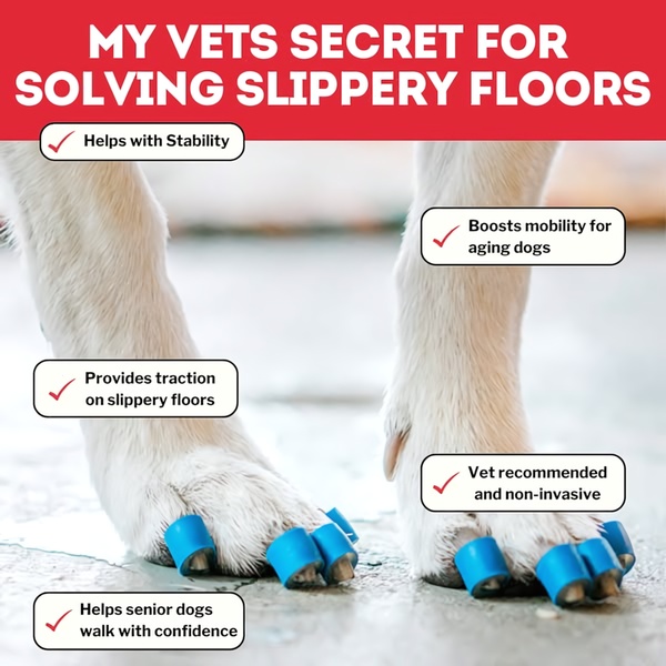 A 1:1 format ad featuring a close-up of a dog wearing blue rubber paw grips, annotated with specific mobility and stability benefits.
