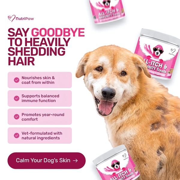 A square-format static ad highlighting dog supplement benefits through a clean, benefit-focused layout featuring a high-quality product and dog image.