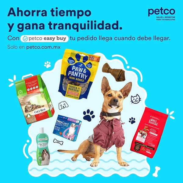 A 1:1 ratio ad creative for a pet supply subscription service, highlighting convenience and peace of mind through a clear, branded value proposition and a central hero dog image.
