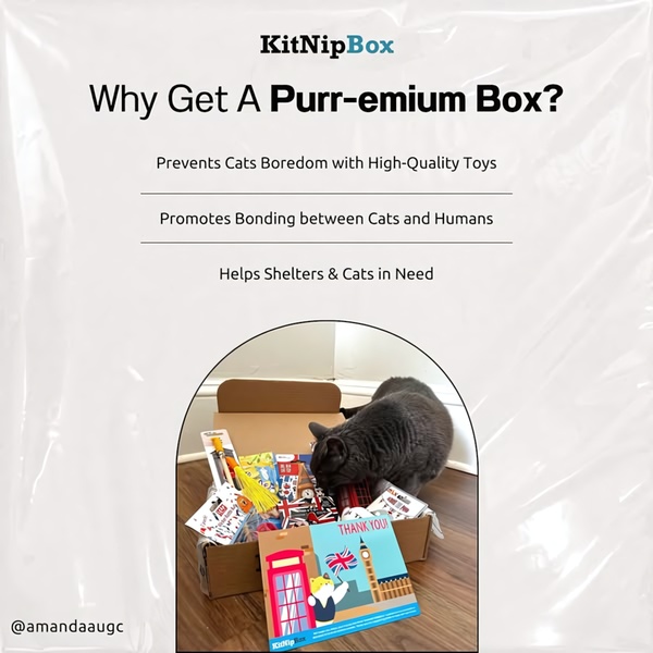 A clean, text-heavy graphic explaining the value of a pet subscription box with a primary image of a cat interacting with the contents.