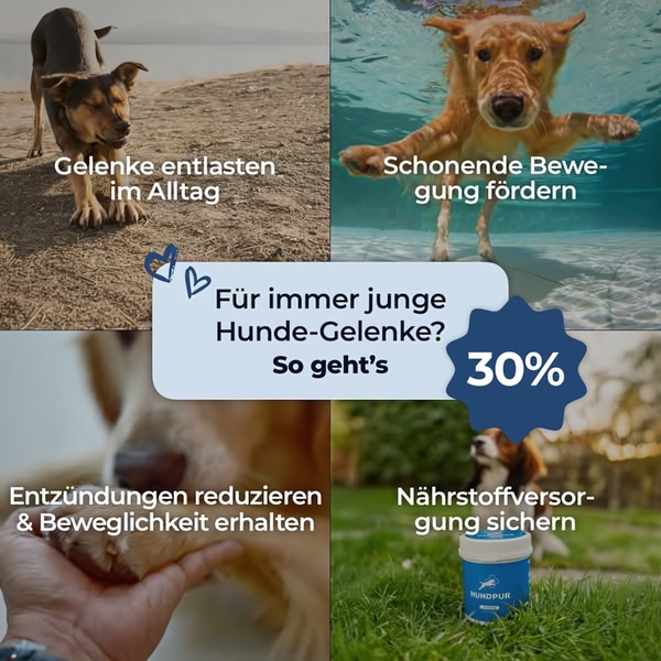 A 1:1 ratio ad creative using a four-panel grid to highlight specific mobility and health benefits of a dog supplement product.