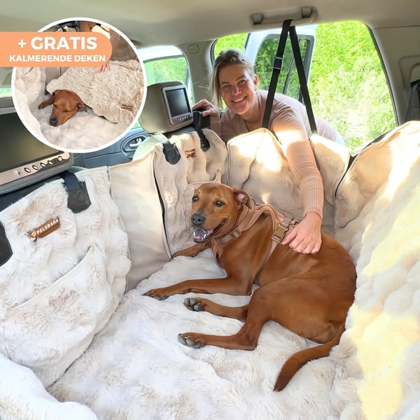 A high-conversion ad showing a dog resting comfortably on a plush car seat cover, emphasizing an included free bonus item for pet owners.