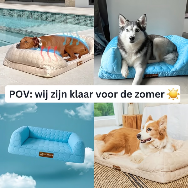 A 1x1 carousel-style ad showcasing a dog cooling bed in various settings to emphasize relief from summer heat.