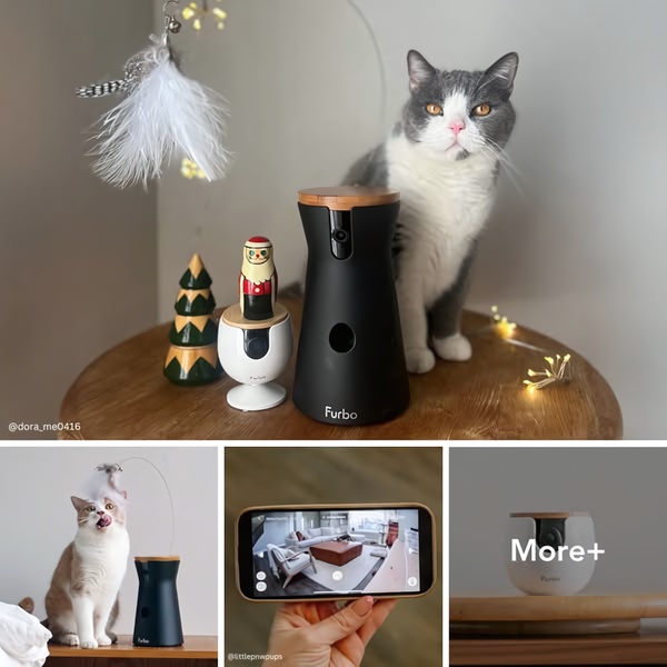 This creative demonstrates a pet camera's interaction capabilities by showing a cat playing with an integrated toy and the owner's view on a smartphone.