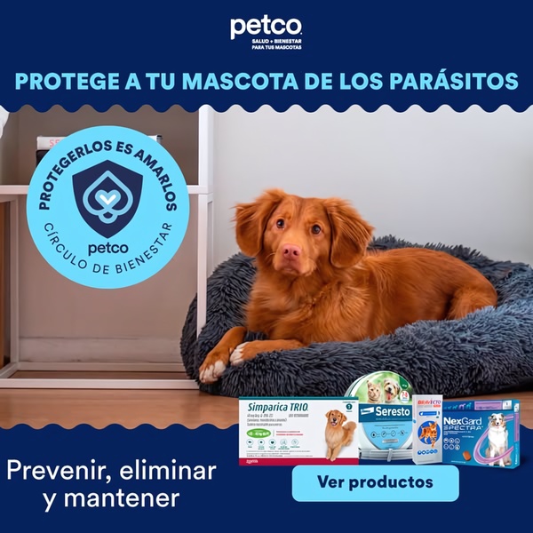 A clean, square-format ad displaying a dog in a pet bed alongside multiple parasite prevention products and clear, action-oriented text.