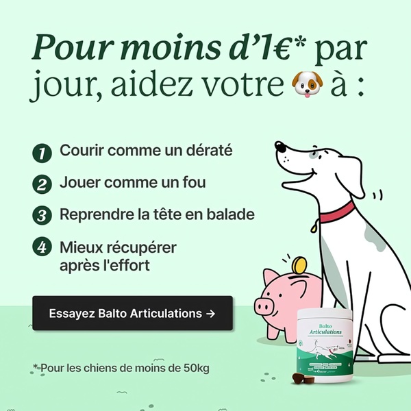 A high-conversion ad creative for a dog joint supplement, featuring a numbered list of health benefits and a low-cost daily price proposition.