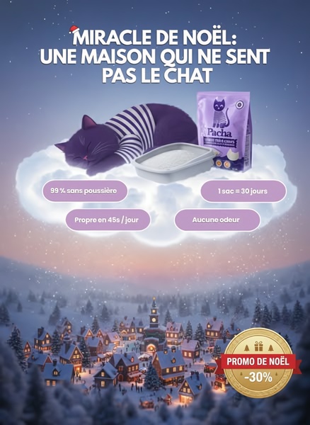A festive, winter-themed creative promoting a cat litter product with a seasonal 30% discount and a clear list of four key performance benefits.