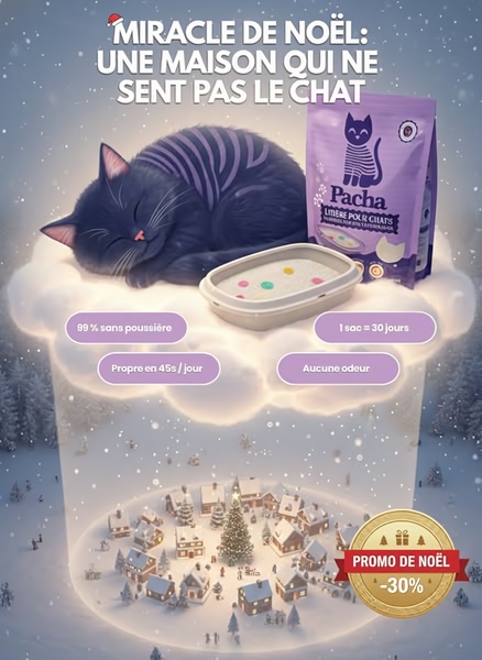 A creative utilizing a holiday-themed, dream-like visual of a sleeping cat on a cloud to highlight the product's odor-eliminating and clean benefits.