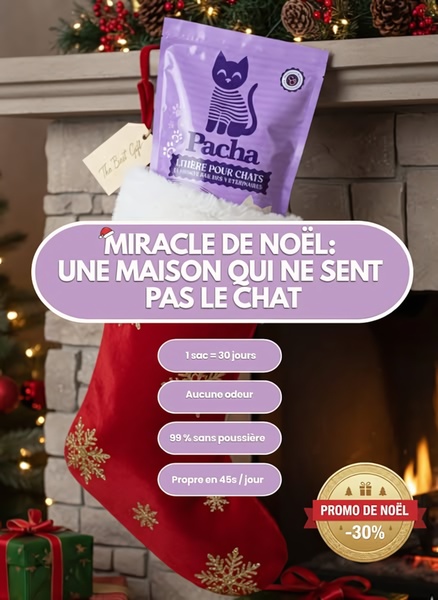 A seasonal-themed ad featuring cat litter inside a Christmas stocking by a fireplace, highlighting key product benefits through a bold, text-based overlay.