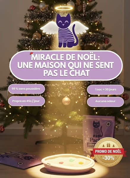 This festive seasonal ad uses a Christmas-themed setup to present cat litter benefits, focusing on odor control and cleanliness.