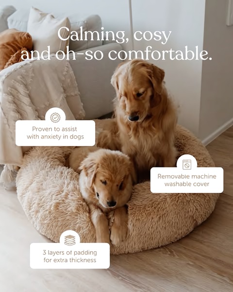 This ad creative uses a high-quality lifestyle image of two dogs in a plush pet bed with clear, call-out annotations highlighting key product features.