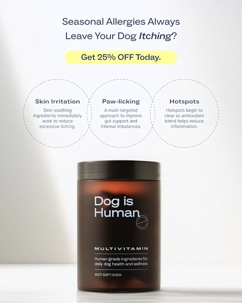 Dog Multivitamin Allergy Relief Creative