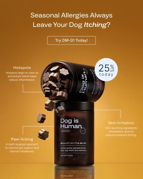 Dog Multivitamin Problem-Solution Ad