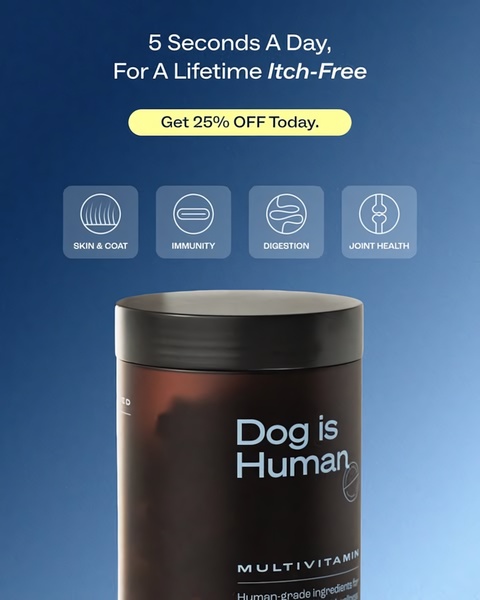 A clean, blue-toned product creative highlighting four key health benefits for a dog multivitamin, including skin, immunity, digestion, and joints.