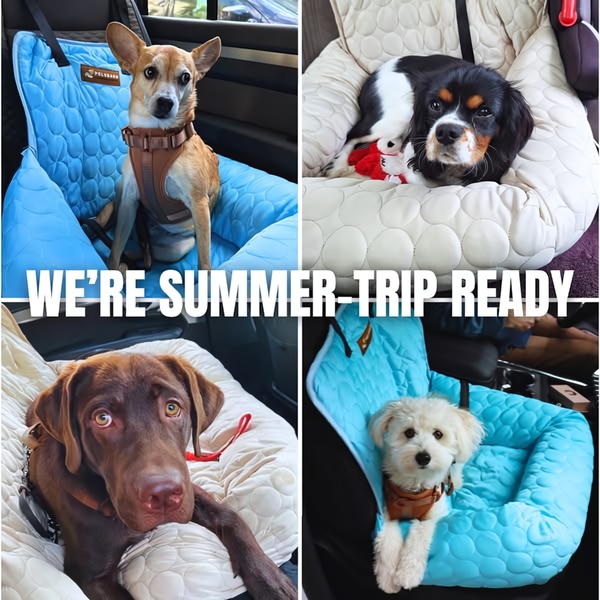 A 1:1 ratio collage image showcasing dogs comfortably seated in pet car seats, emphasizing a summer travel readiness theme.