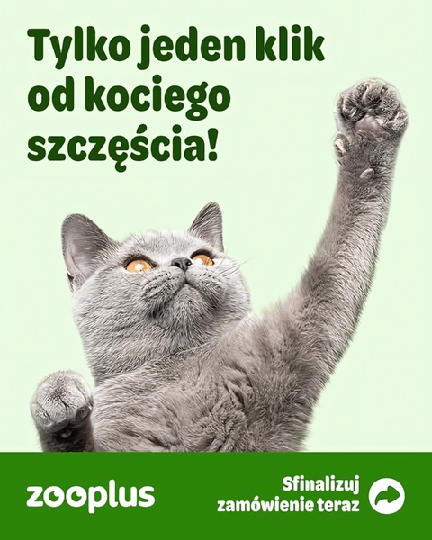 Zooplus Cat Happiness Hook