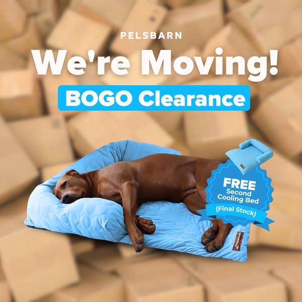A 1:1 square ad creative highlighting a pet cooling bed with a 'We're Moving' BOGO offer and a clear call-out for the final stock.