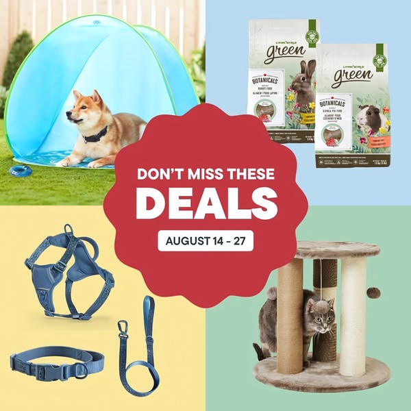 Seasonal Pet Products Showcase