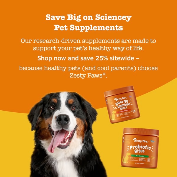 A high-conversion 1:1 ad creative for pet supplements that uses a bright, high-contrast background and clear value proposition to drive interest in a site-wide sale.