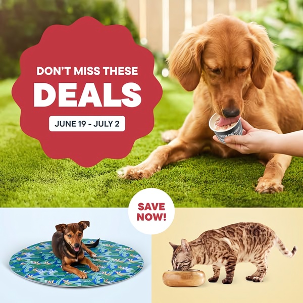 A high-conversion 1_1 ratio ad layout featuring multiple pet products, including treat cups, cooling mats, and elevated bowls, set against a summer sale hook.