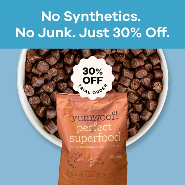 Minimalist Dog Food Offer Ad