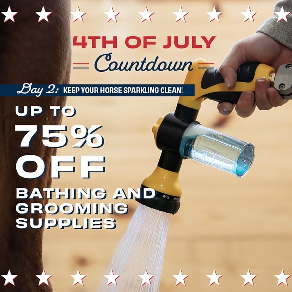 A square ad creative featuring a horse water sprayer with bold, red-white-and-blue typography to promote a holiday-themed discount.