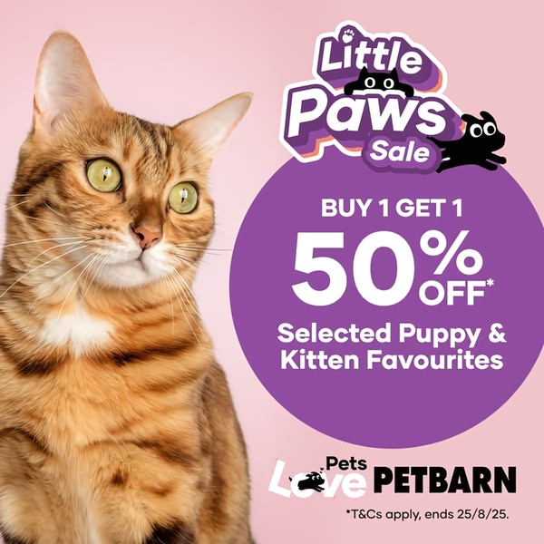 A square ad creative featuring a portrait of a cat next to a purple circular graphic that highlights a Buy 1 Get 1 50% off sale.