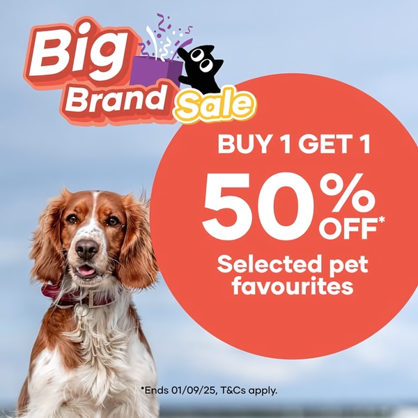 Big Brand Sale Pet Creative