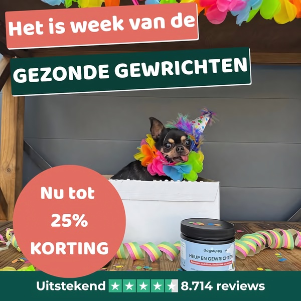 A festive-themed square ad showing a dog wearing a party hat next to a joint supplement jar with a clear percentage discount offer.