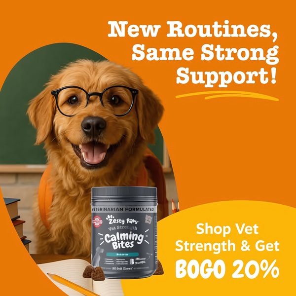 New Routines, Same Strong Support!