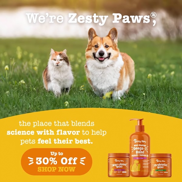 A square-format lifestyle ad featuring a dog and cat alongside a product lineup and a clear 30% off promotional offer.