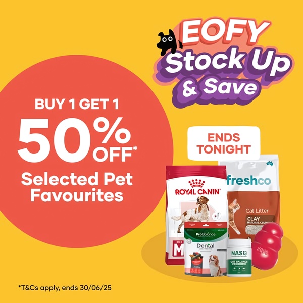 A high-visibility 1:1 square graphic promoting a Buy 1 Get 1 50% off sale on pet essentials, featuring an urgent deadline call-to-action.