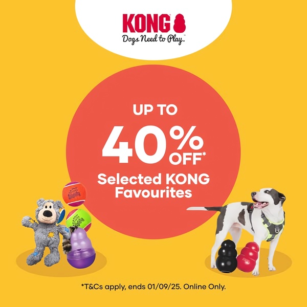 A 1:1 ratio ad graphic utilizing a high-contrast red-on-yellow color scheme to highlight a 40% discount on dog toys.