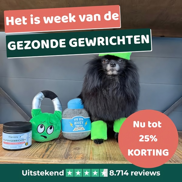 A square-format promotional ad featuring a dog posed with product-related imagery and a clear discount offer.