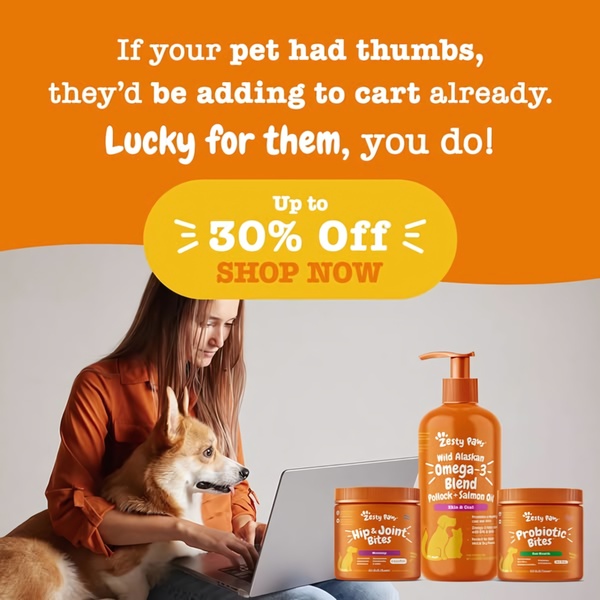 A split-view ad featuring a woman and her dog using a laptop alongside high-quality product imagery of pet supplements and a clear 30% off discount.