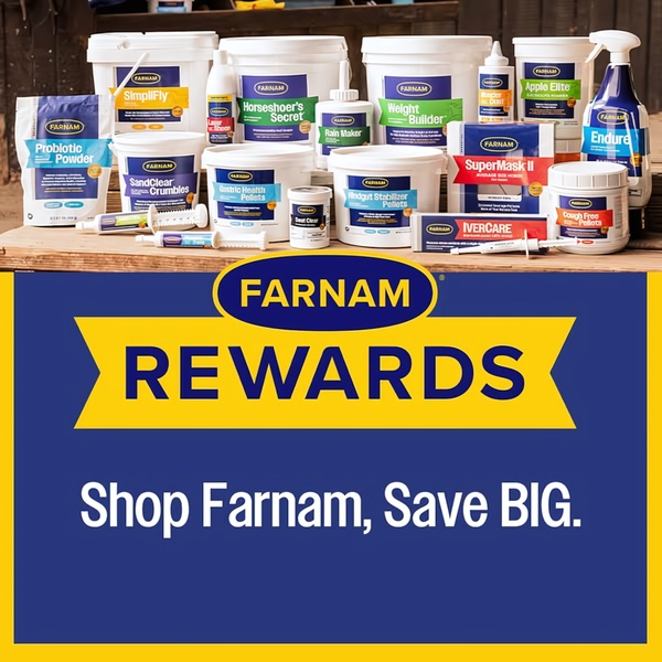 A clean, overhead product shot showcasing an array of horse health supplements arranged on a wooden surface, paired with a bold call to action.