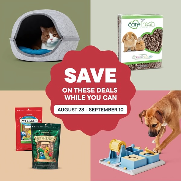 Seasonal Multi-Product Pet Sale