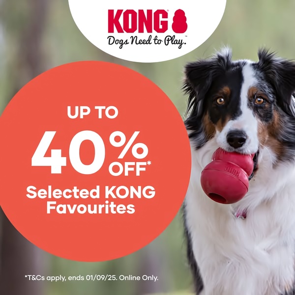 A high-impact square ad featuring a dog holding a red chew toy, paired with a bold 40% discount offer to drive immediate conversion.