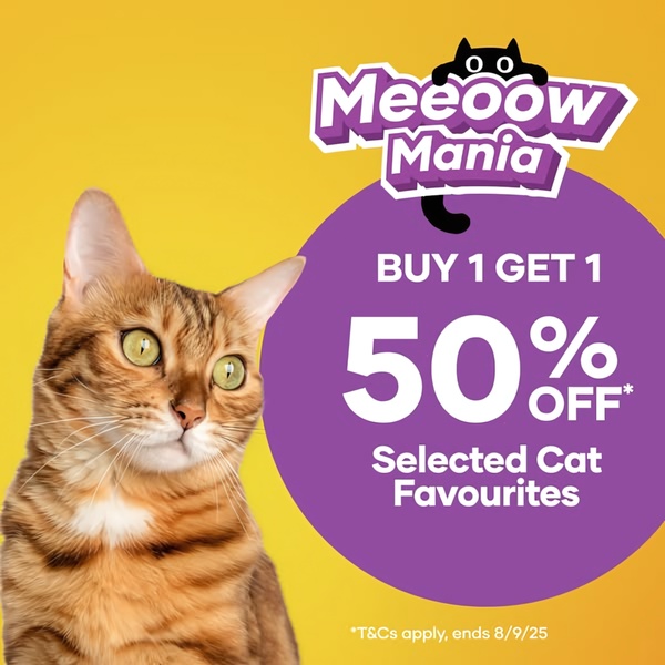 A square-formatted promotional ad for cat food featuring a BOGO 50% off offer with a bright, playful yellow and purple color palette.