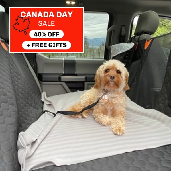 A high-visibility red sale overlay placed over a lifestyle shot of a pet sitting on a car seat cover.