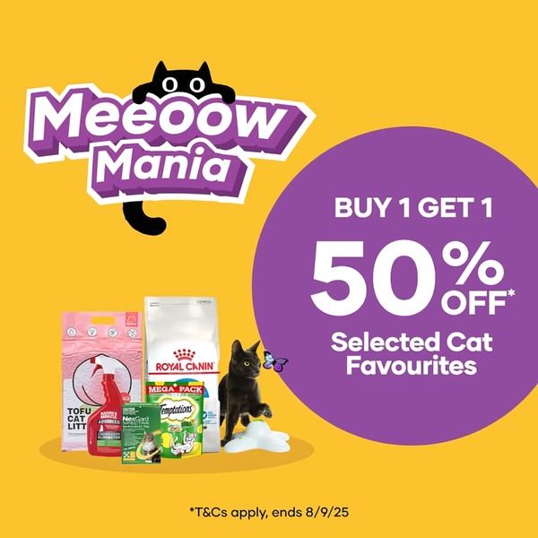 A high-contrast, promotional ad creative for various cat care items using a yellow background and a prominent purple circle to anchor the offer.