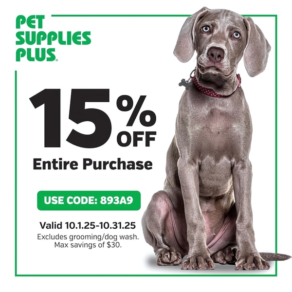 A clean, minimalist 1:1 square ad creative featuring a high-quality dog portrait paired with a prominent 15% off site-wide discount offer.
