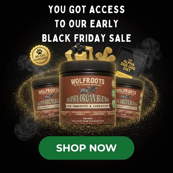 A high-contrast, premium-feel promotional ad featuring dog supplements with a Black Friday sale incentive and a 90-day guarantee seal.