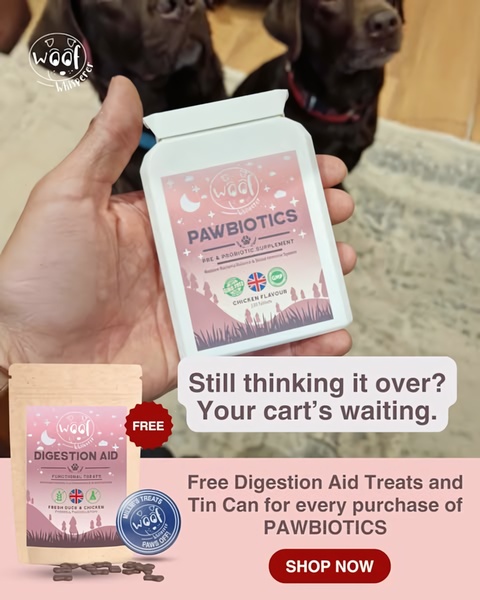 This static 4:5 ad uses a hand-held product reveal combined with a direct offer to incentivize shoppers to complete their purchase.