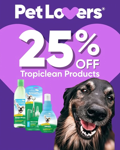 A promotional ad creative for pet dental care products featuring a clear 25% discount offer, high-quality product imagery, and a smiling dog.