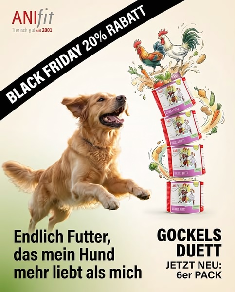 A high-energy, illustrative advertisement featuring a dog leaping towards floating stacks of canned pet food, emphasizing a Black Friday 20% discount.